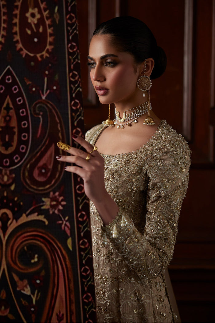 SIRA Champion Color Tissue Pishwas with Sharara & Dupatta | Luxury Pakistani Formalwear by Saad Bin Shahzad