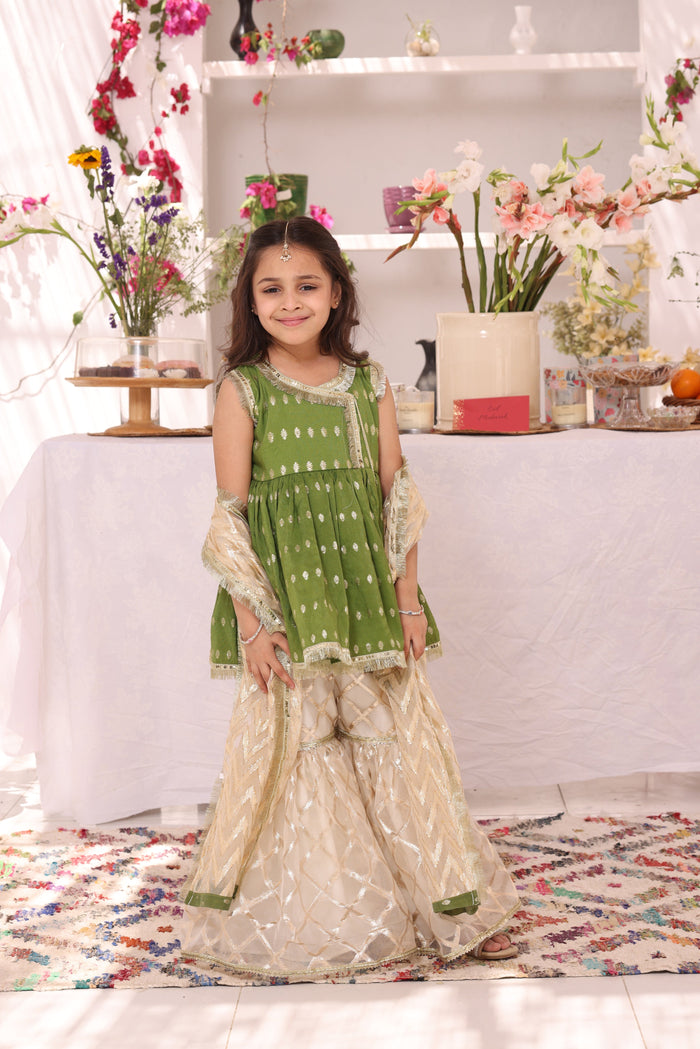 Cotton & Organza Lorex Gharara Suit