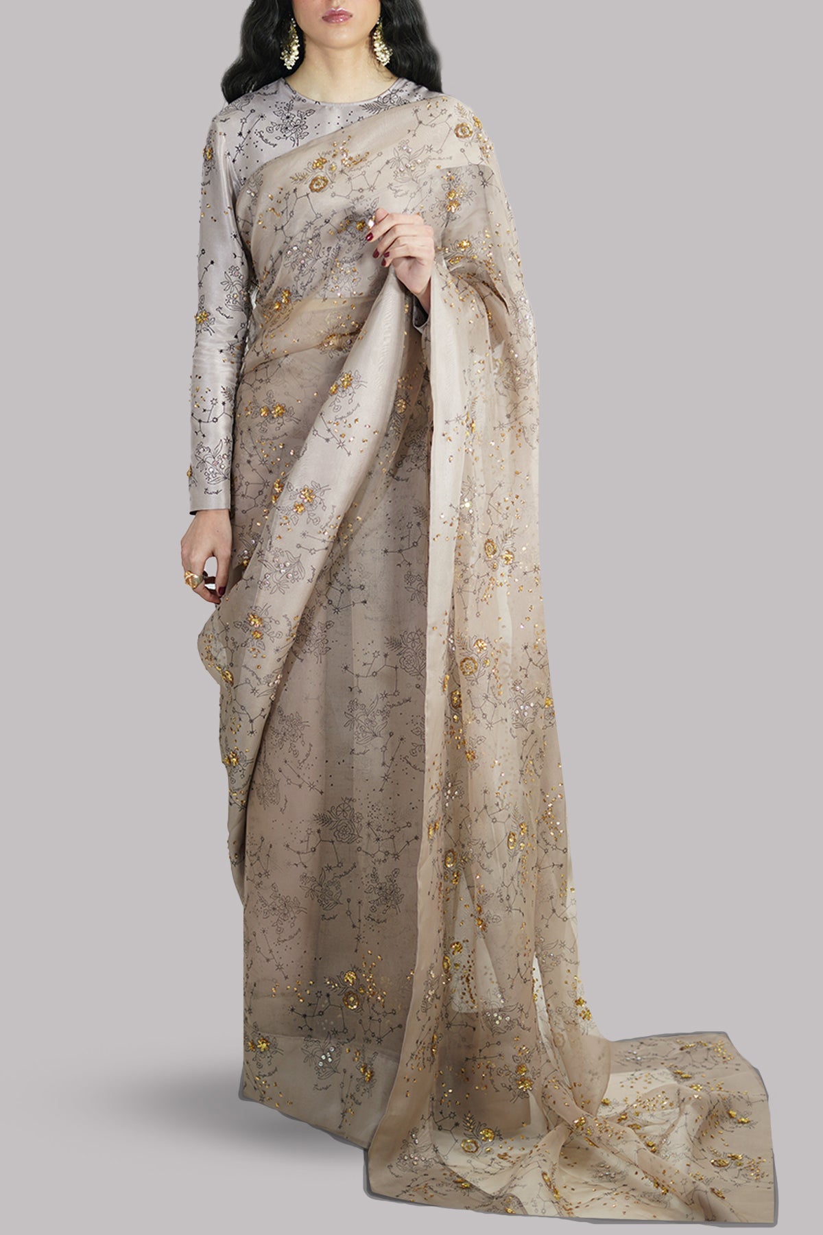 Simply Taupe Block-Printed Embellished Sari
