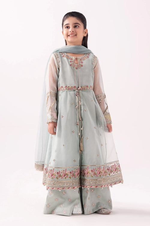 3 Piece Embroidered Organza Suit