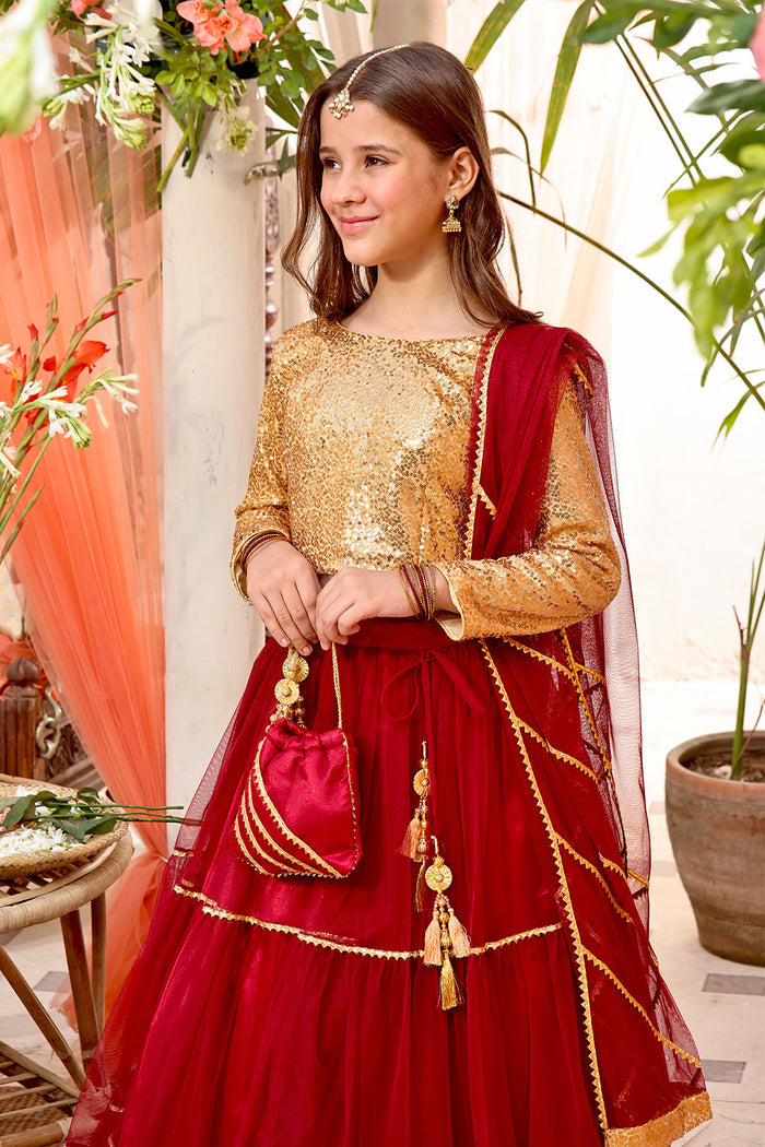 Sequins & Net Lehenga Choli — Red Gold Net