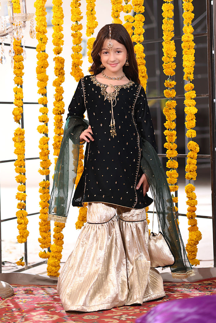 Handwork Embroidered Velvet Gharara Suit