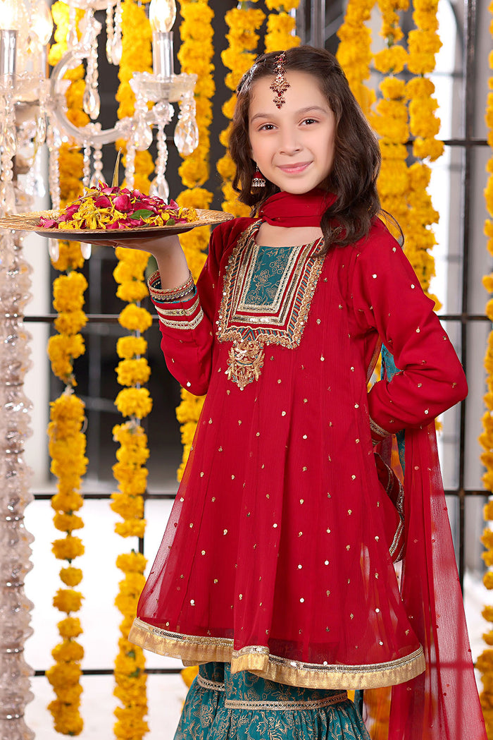 Handwork Embroidered Chiffon Gharara Suit