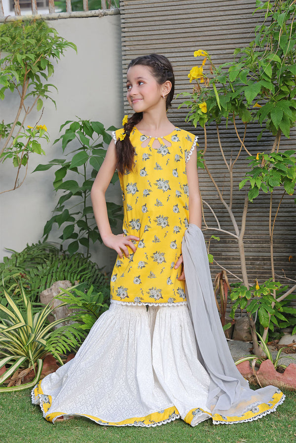 Sharara & Gharara