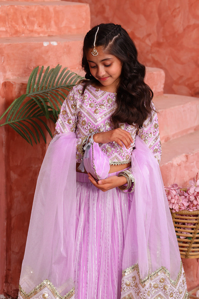 Lavender Chevron Embroidered Lehenga Choli Set with Dupatta & Potli
