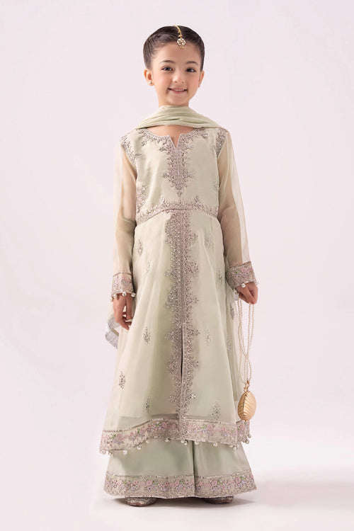 3 Piece Embroidered Organza Suit