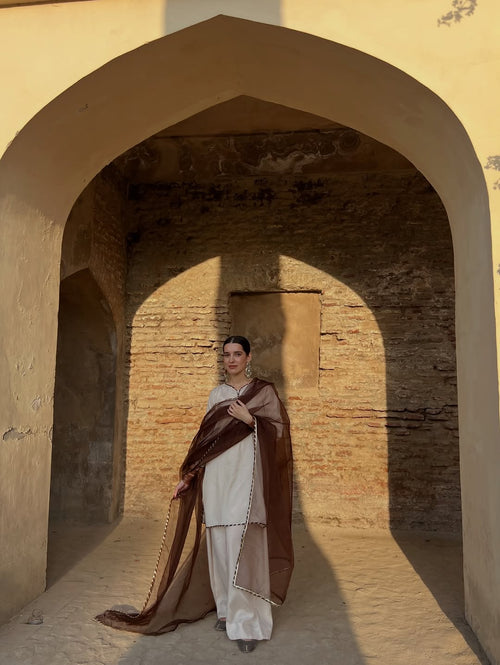 Pakistani Farshi Shalwar Dress