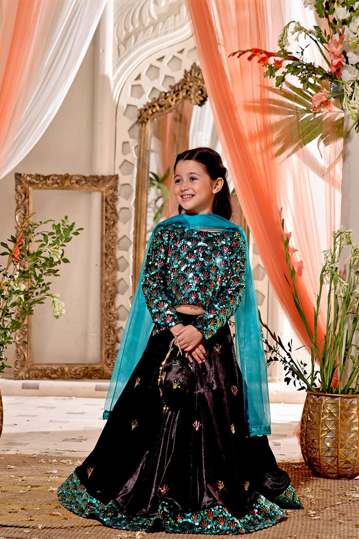 Sequins & Velvet Lehenga Choli — Green Black Velvet