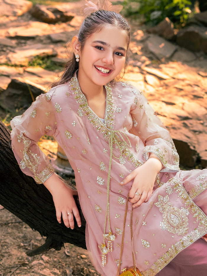Organza Embroidered Angrakha Set