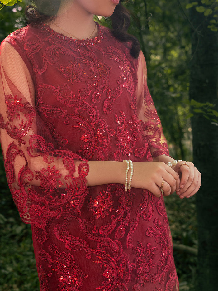 Net Embroidered Festive Suit