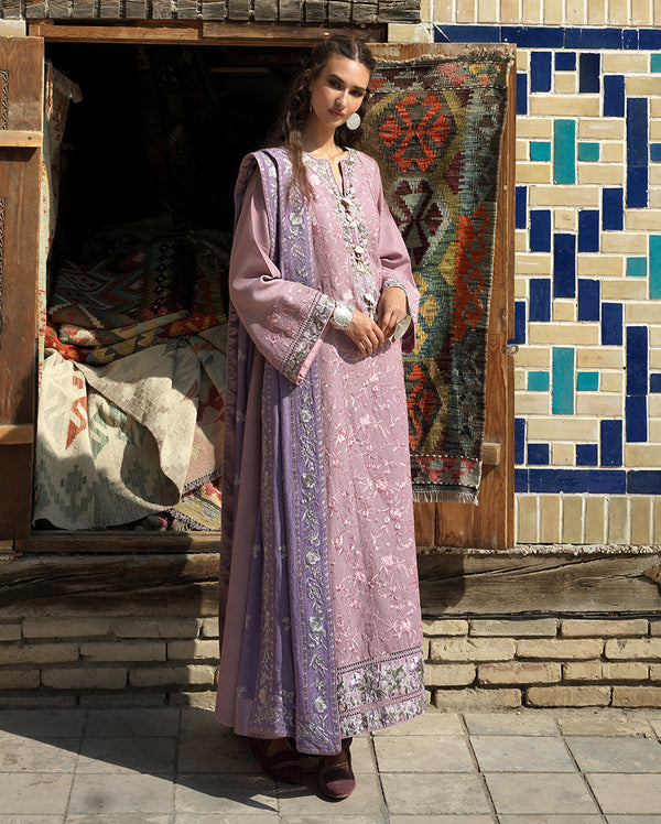 Skies of Bukhara Winter Edit