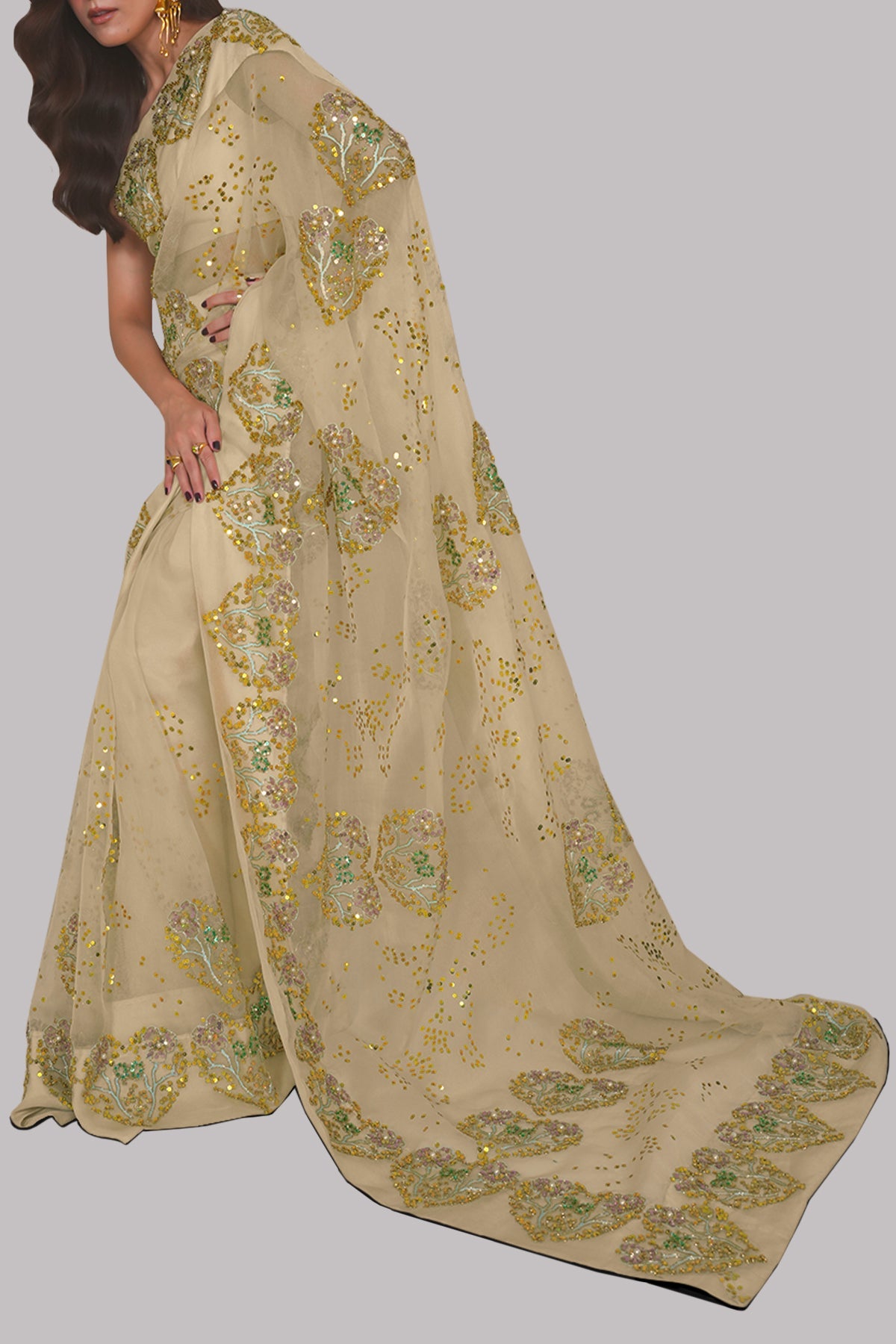 Lamb's Wool Embellished Sari