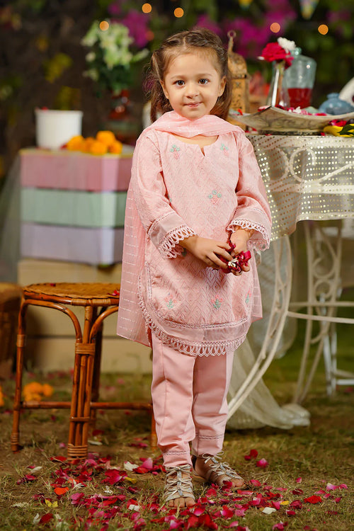 Chikankari Embroidered 3 Pc Suit