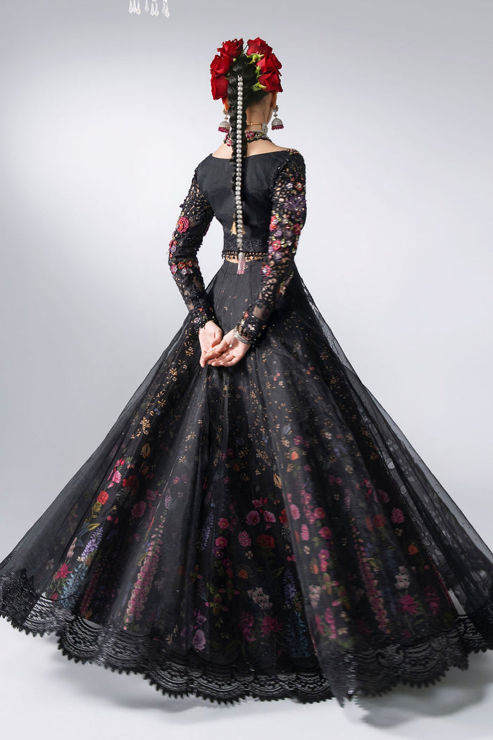 BD-3101 Black Embroidered Organza Frock Suit