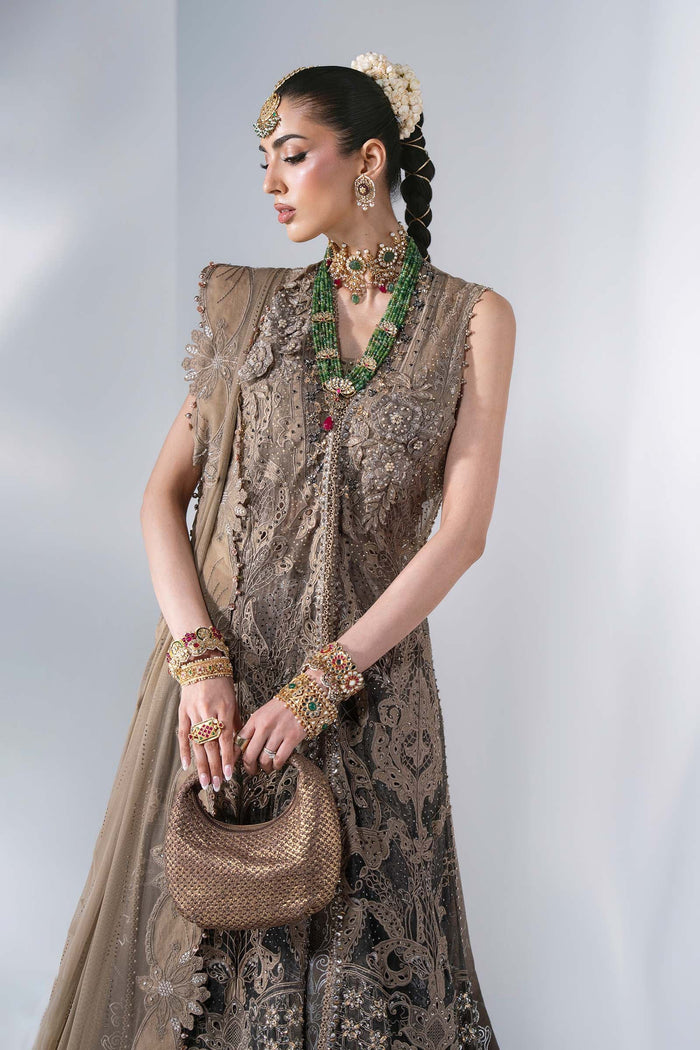 BD-3102 Coffee & Grey Embroidered Chiffon Suit
