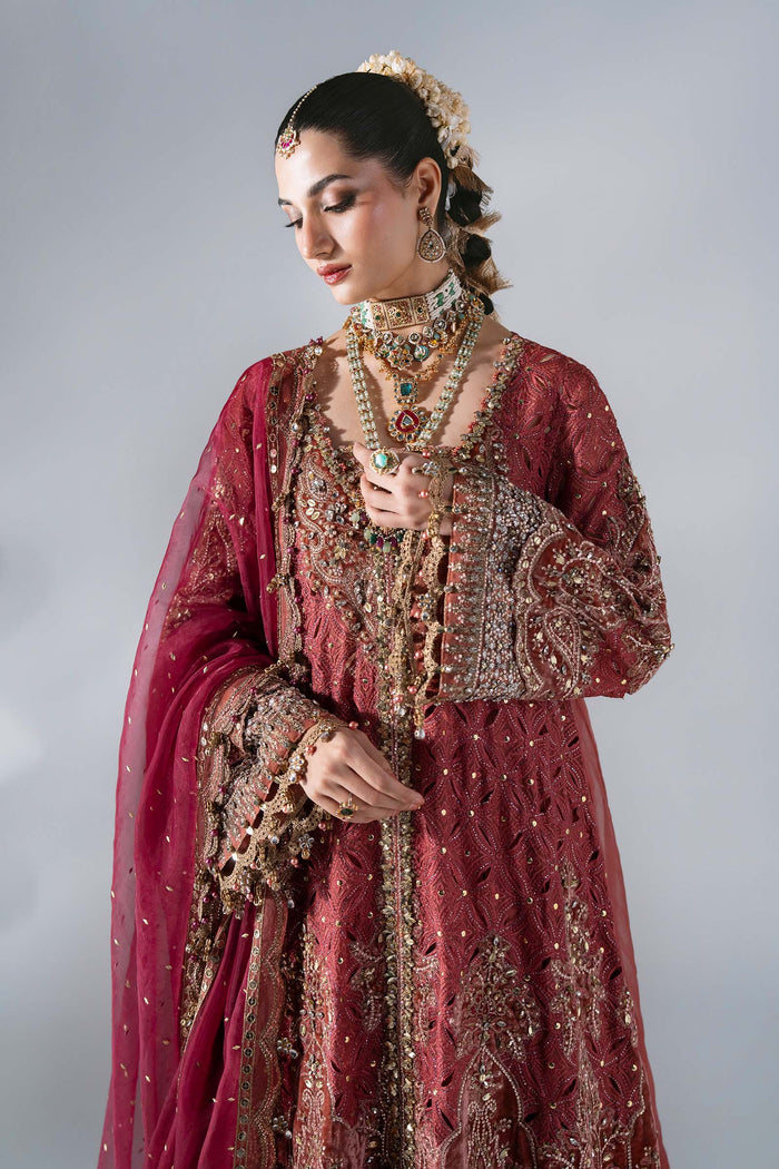 BD-3108 Salmon Pink Embroidered Organza Suit