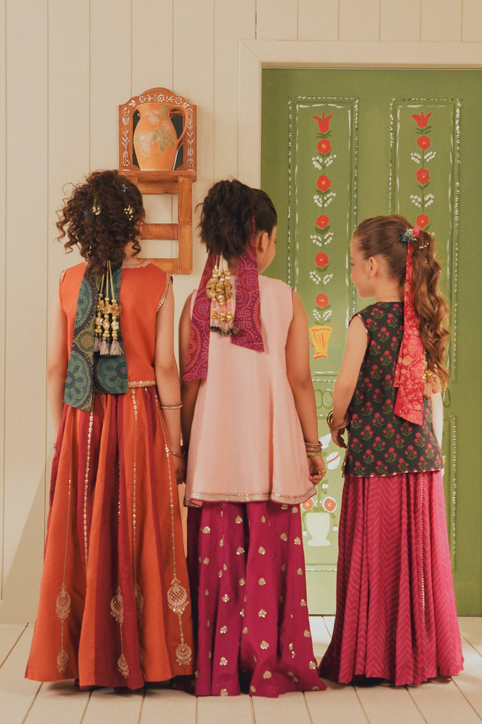 Pale Coral Embroidered Suit