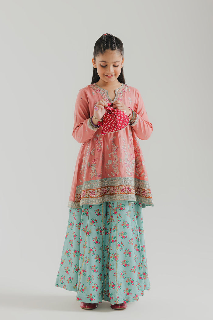 Coral Embroidered Suit