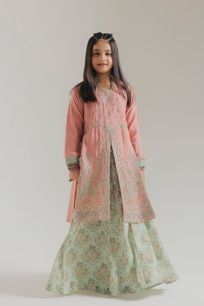 Baby Pink Embroidered Suit