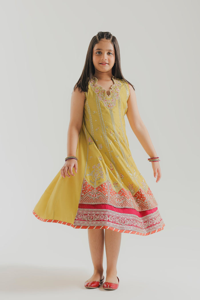 Lime Embroidered Dress