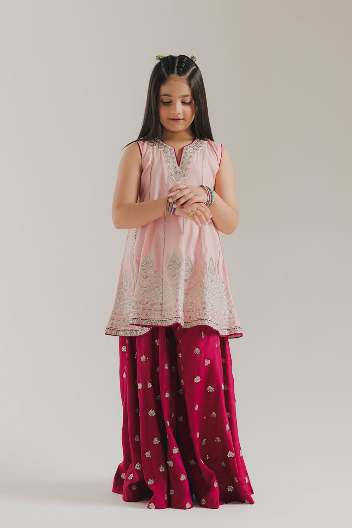 Pale Coral Embroidered Suit