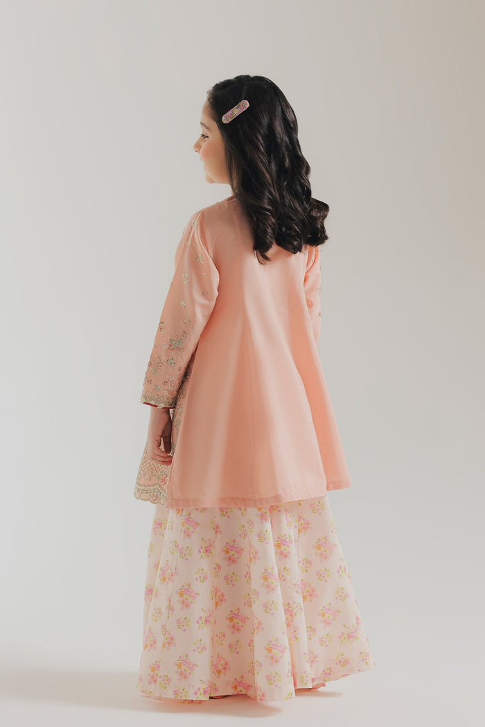 Cream Pink Embroidered Suit