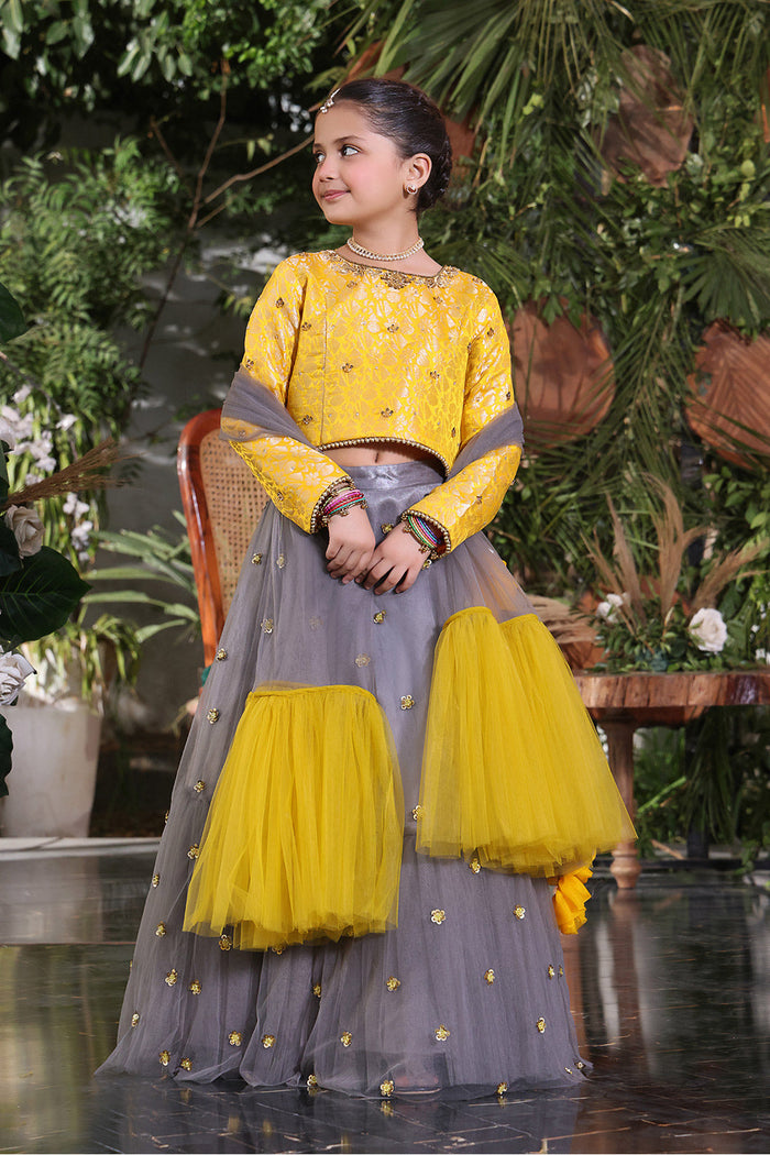 Handwork Embroidered Banarsi Net Lehenga Choli