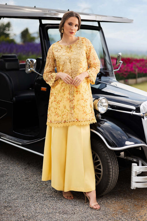 3 Piece Embroidered Cotton Net Suit DW-EF26-16-YELLOW