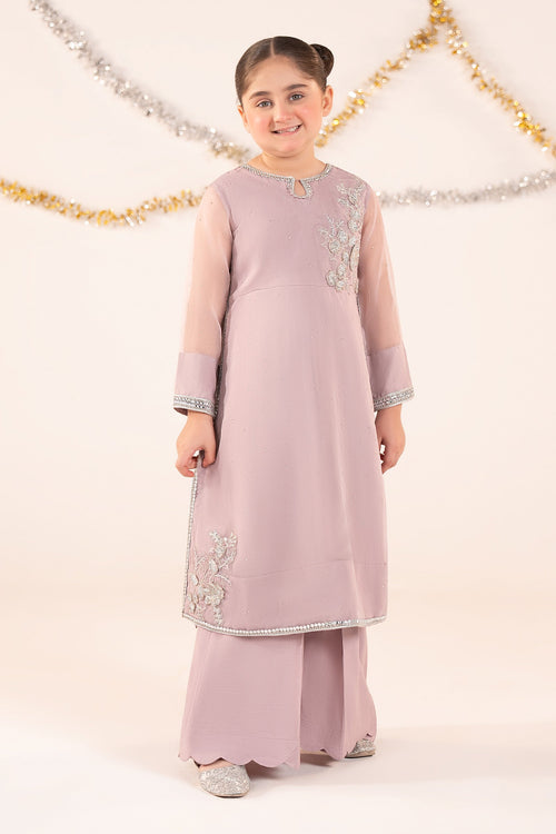 2 Piece Embroidered Organza Suit