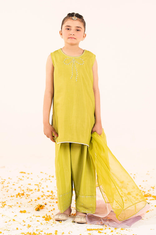 3 Piece Embellished Raw Silk Suit-MKS-EF26-26-Green