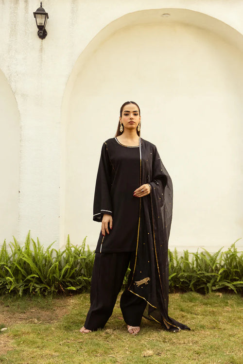 Noor Farshi Salwar Black set