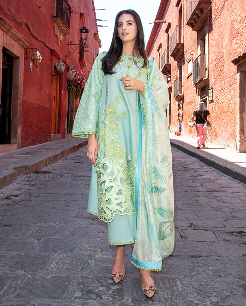 Paloma