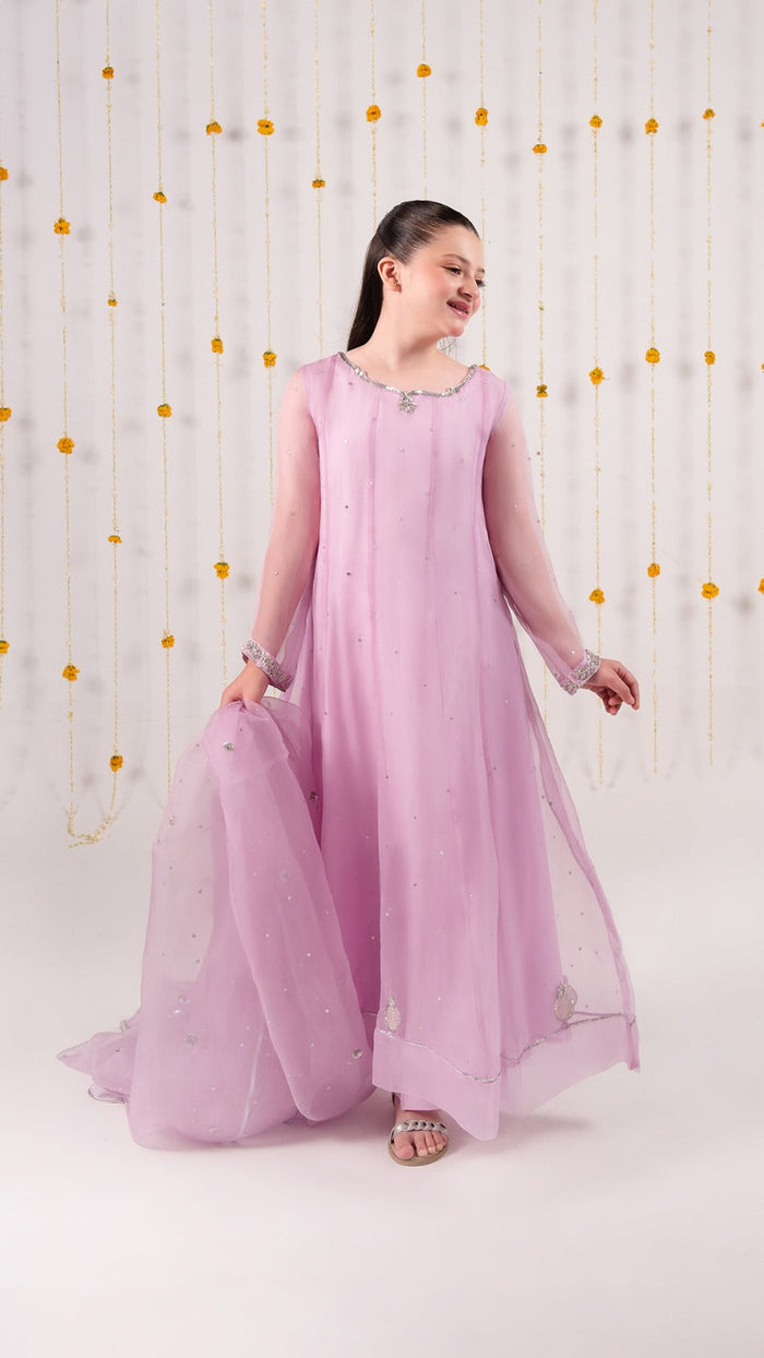 Organza Festive Suit