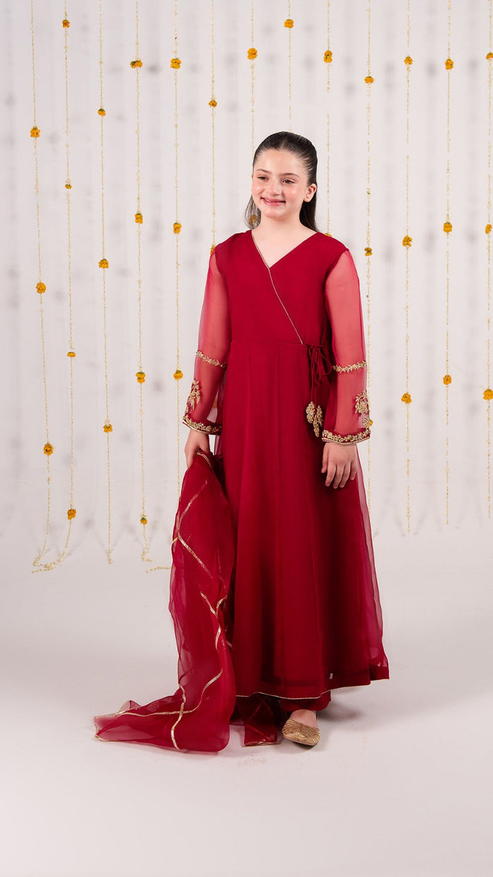 Organza Festive Suit