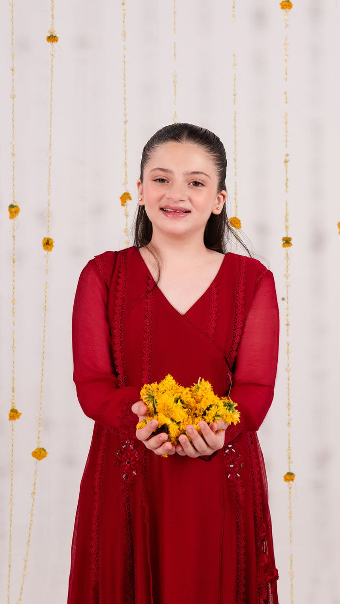 Cotton Net Festive Suit